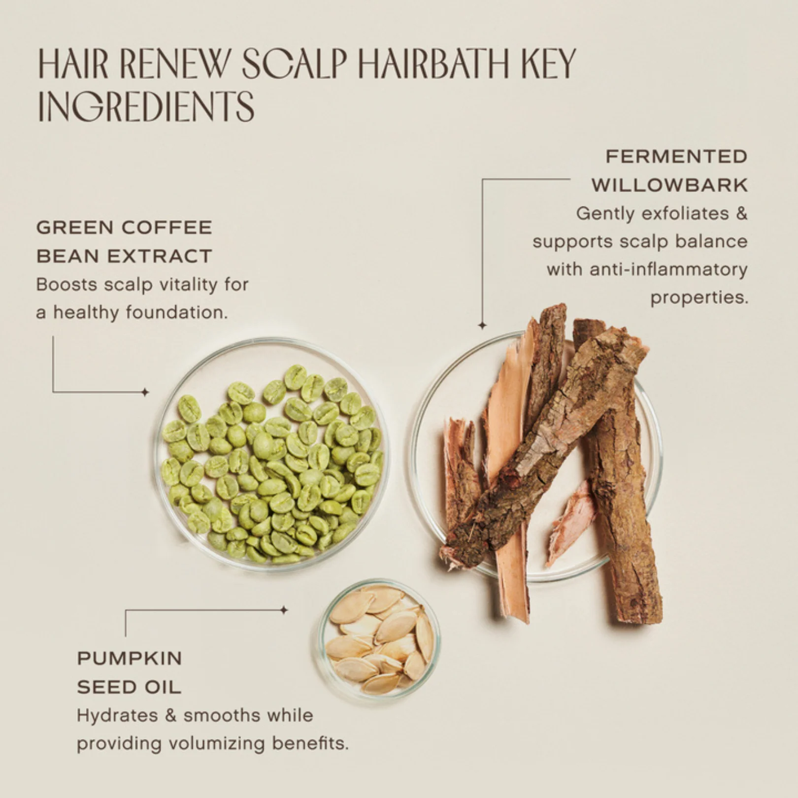 Hair Renew Scalp Hairbath - Image 7